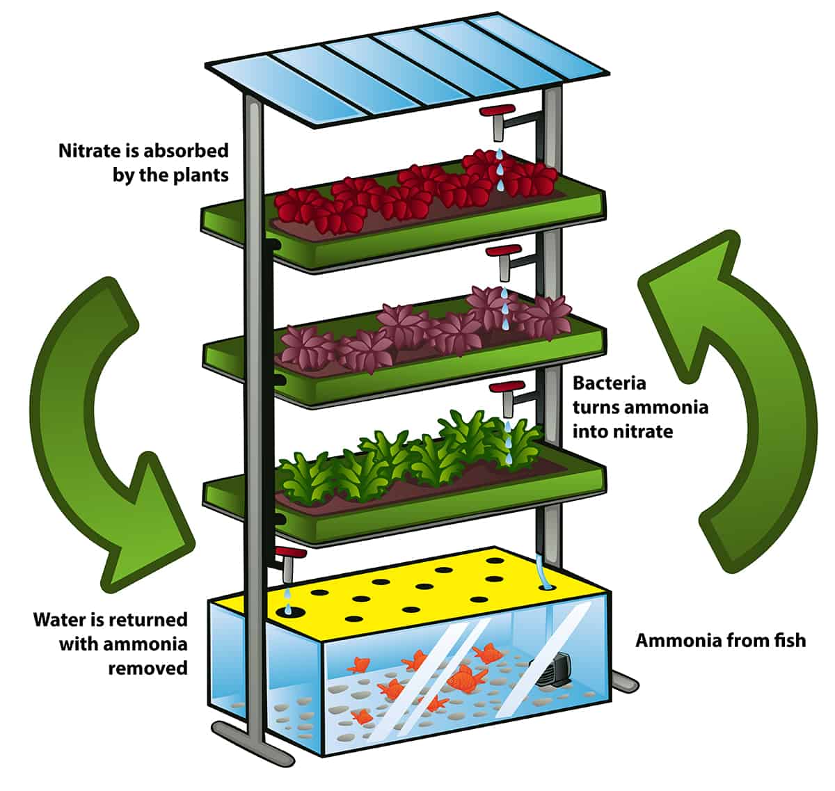 Aquaponic system diagram