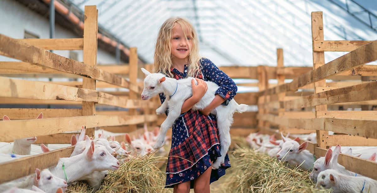 Girl and goats