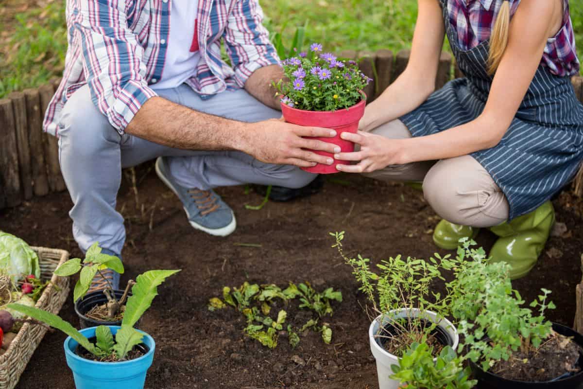 Community Garden