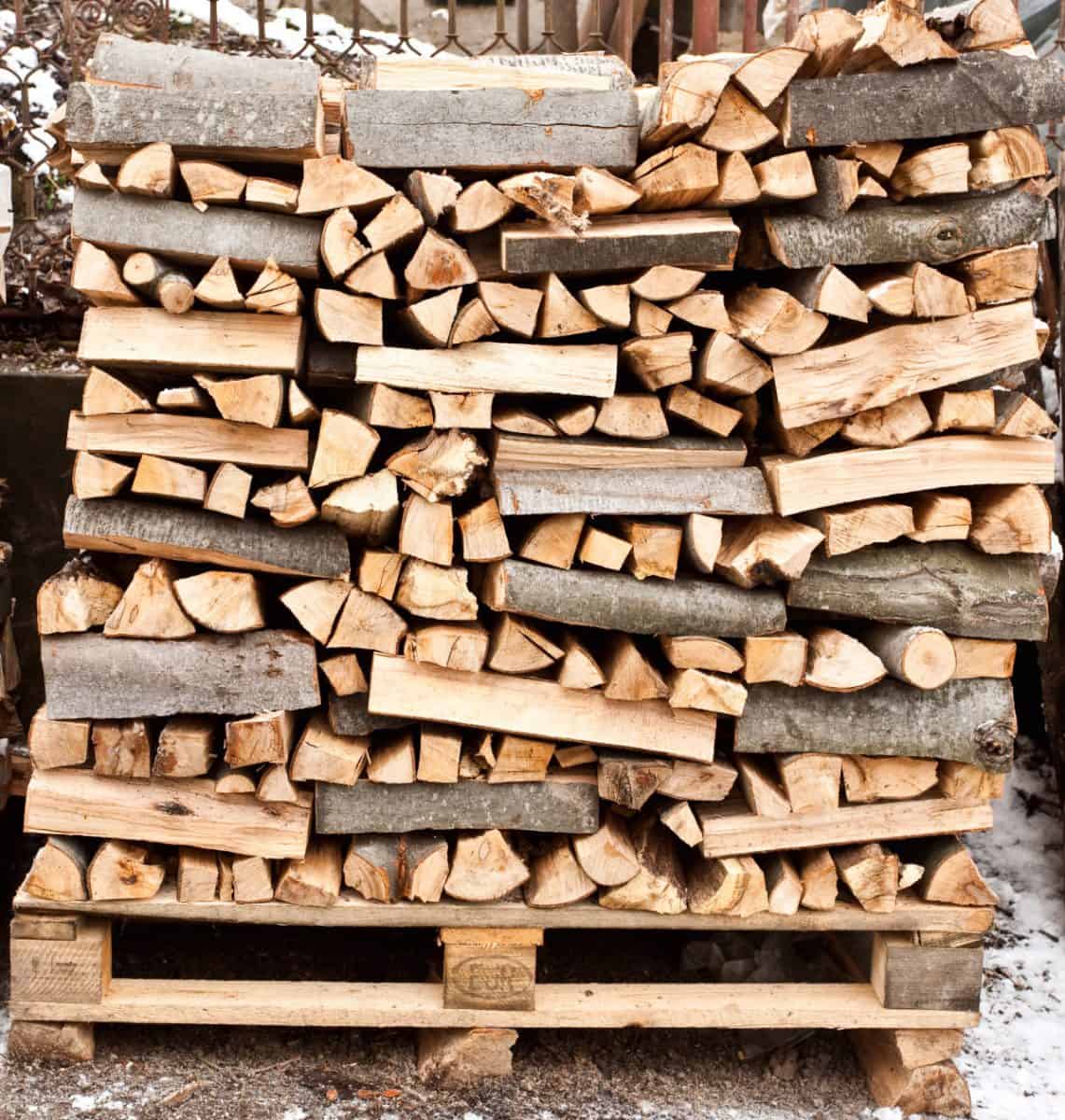 Stack of firewood outdoor