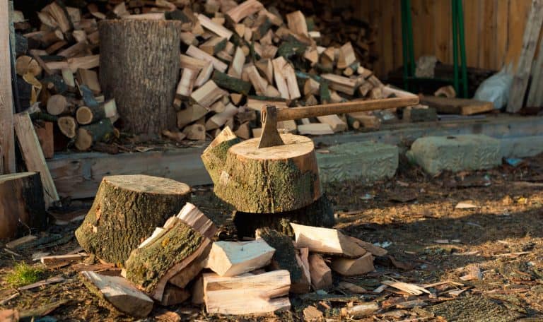 How Much Land Do I Need to Grow Firewood?