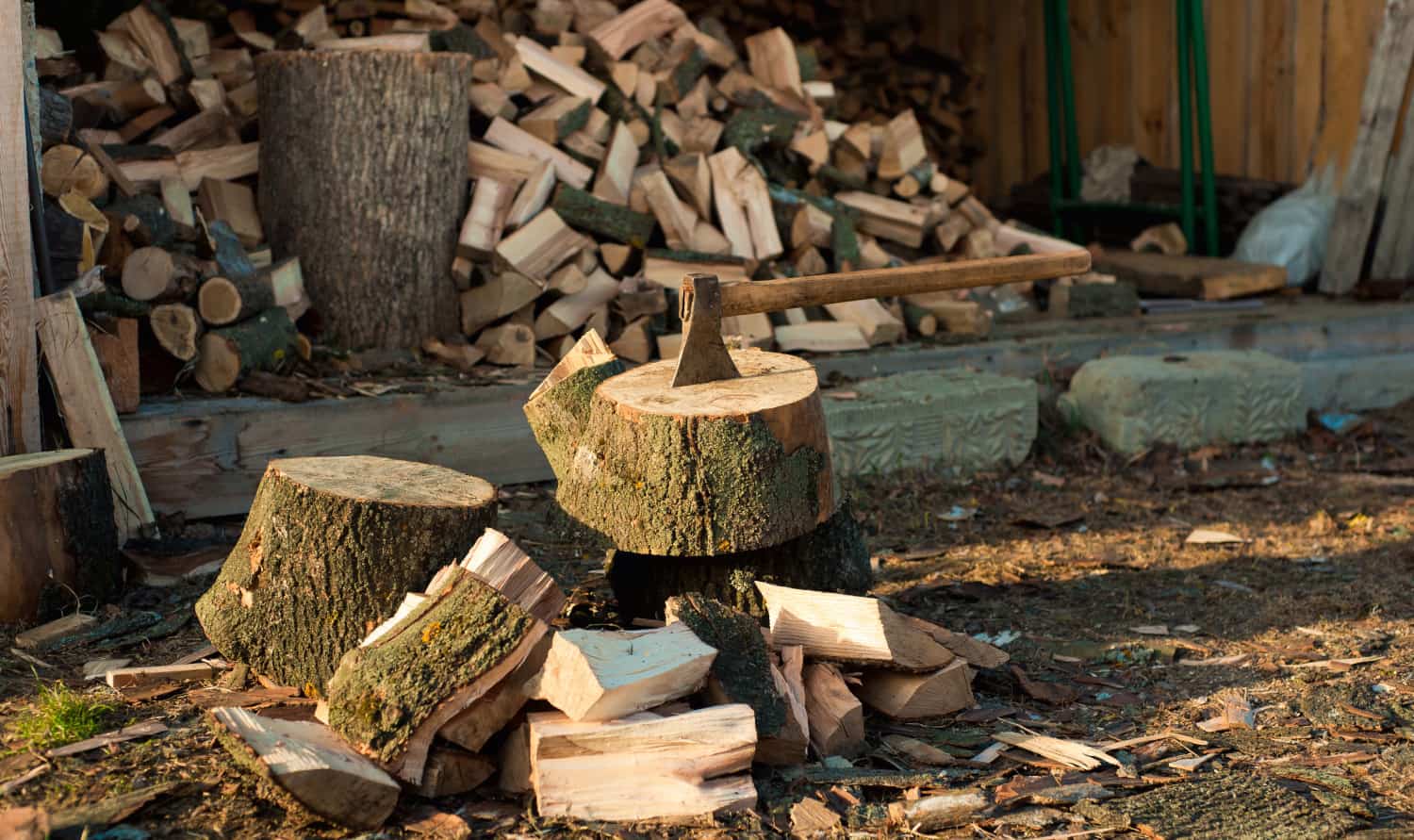 How Much Land Do I Need to Grow Firewood? Freedom Residence
