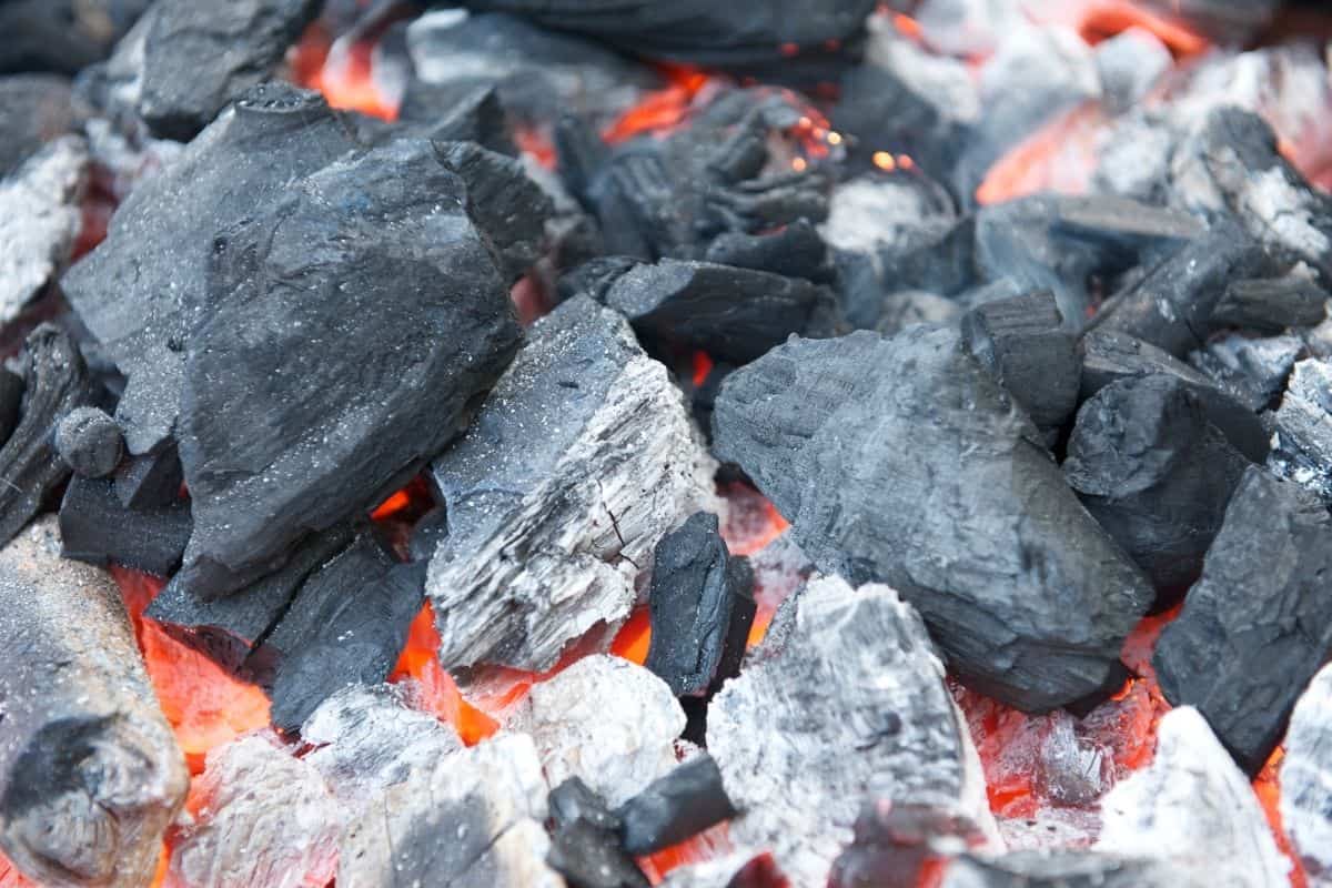 Can You Burn Charcoal in a Wood Stove