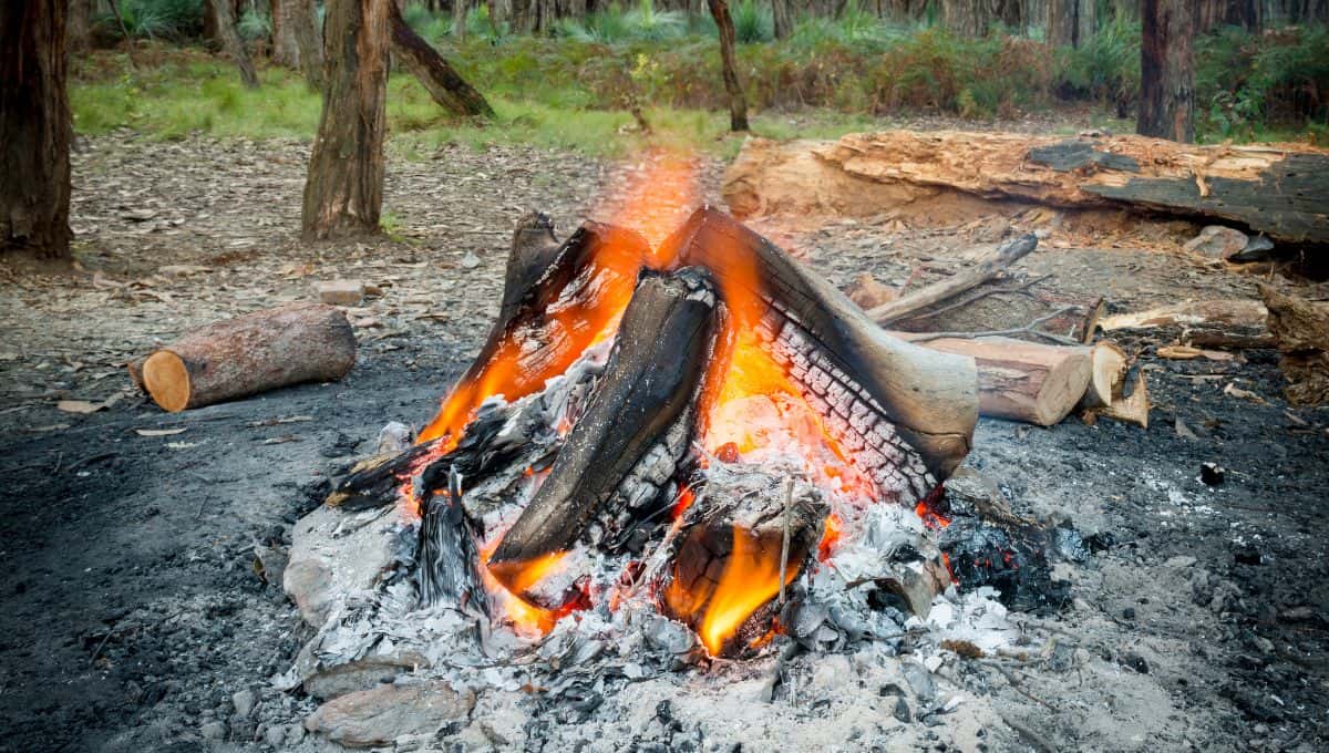 Firewood Burning Blue And Green