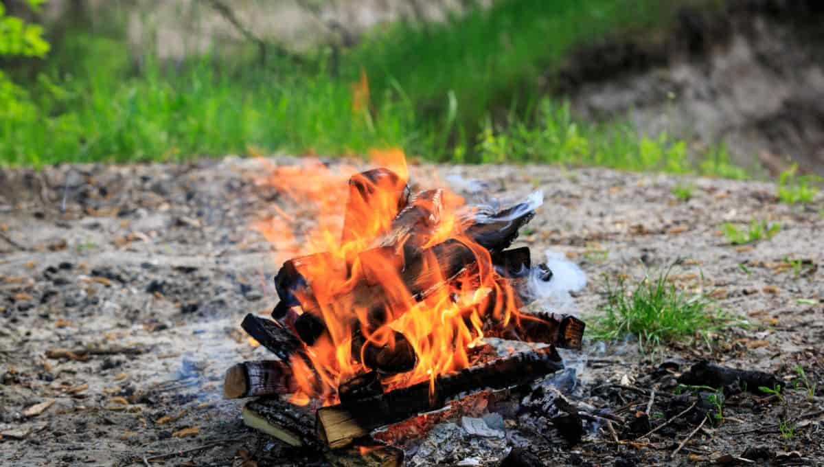 Campfire with blue and green flames