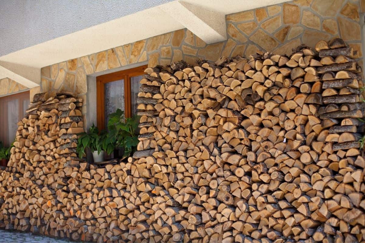 Can You Store Firewood In A Basement