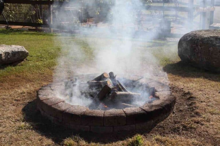 Is Chinese Elm Good Firewood? Freedom Residence