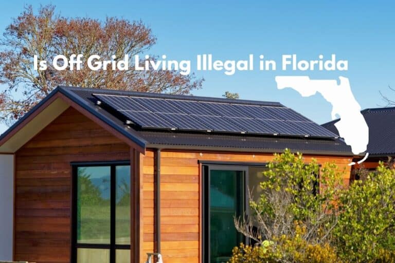 Is Off Grid Living Illegal in Florida? (Answered!)