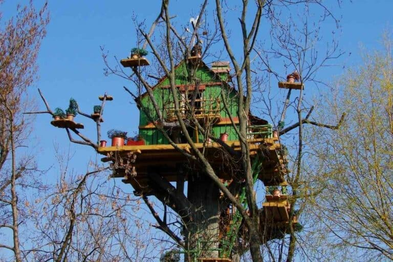 Are Treehouses Taxable? (What You Need To Know!) Freedom Residence