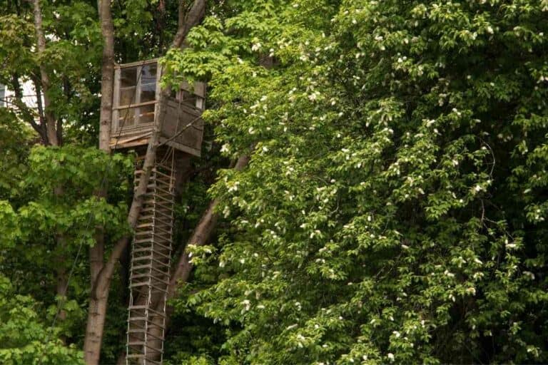 Do Treehouses Have Bathrooms? Freedom Residence