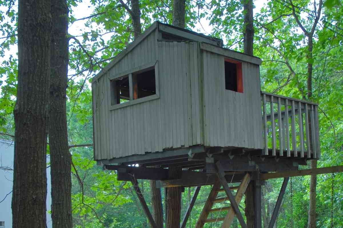How Long Will a Treehouse Last?