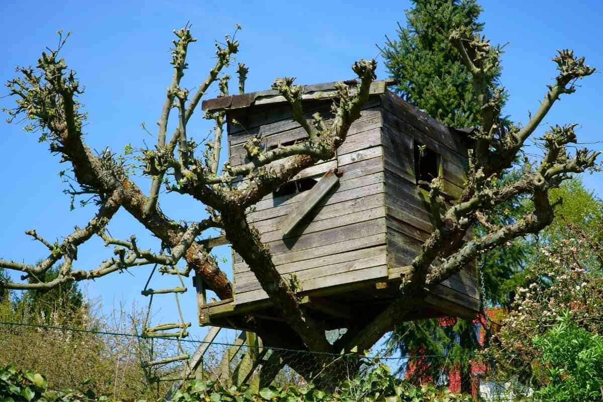 Build a Treehouse without Harming Trees 12 Tips & Tricks Freedom Residence