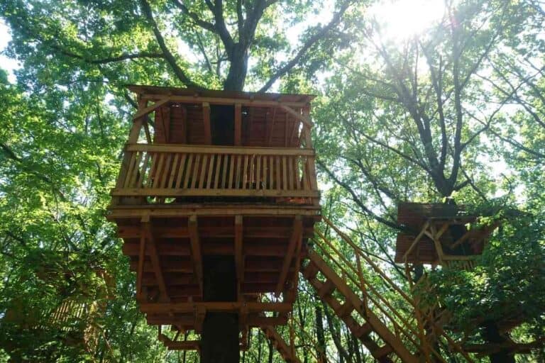 How Tall Should A Treehouse Be? Considerations And Answers! Freedom
