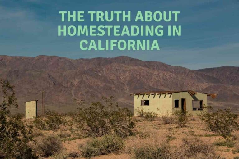 The Truth About Homesteading In California