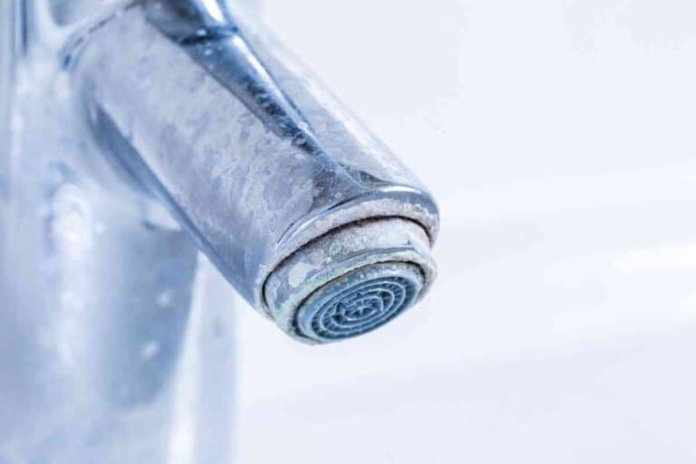 Water Softener Vs Descaler: What’s The Difference?