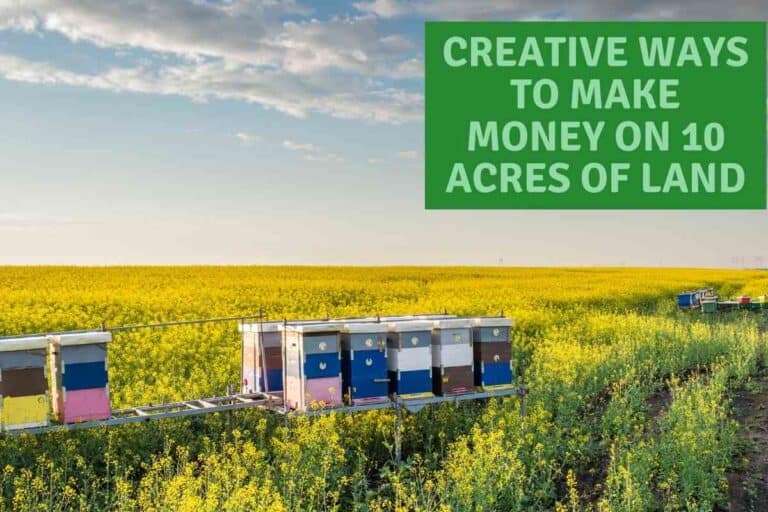 5 Creative Ways To Make Money On 10 Acres Of Land