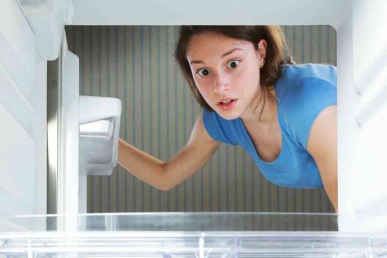 How Long Does It Take For An RV Fridge To Get Cold? Freedom Residence