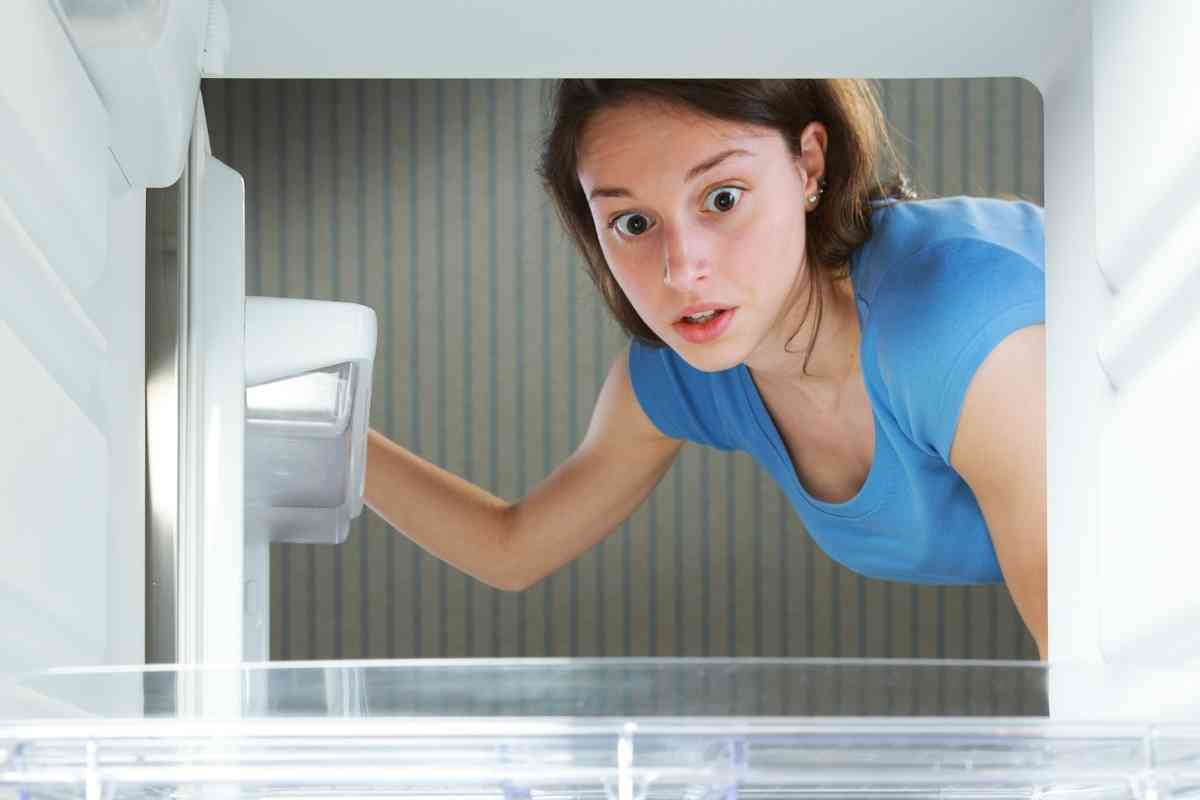 How Long Does It Take For An RV Fridge To Get Cold? Freedom Residence