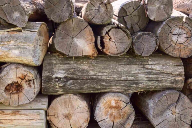 Using Oak For Firewood: The Ultimate Guide