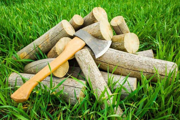 Using Pine For Firewood Red vs. Yellow vs. White vs. Jack Pine For