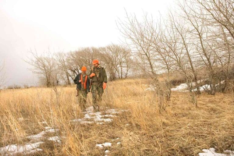Can You Hunt On Public Land In Canada?