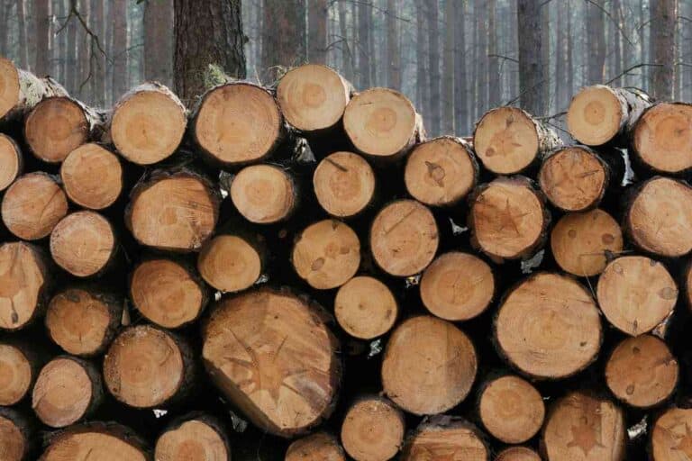 How Many Cords Of Wood Do I Need For Heating My Home This Winter?