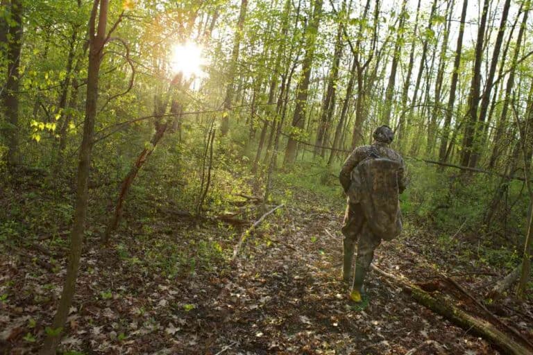 Investing In Hunting Land: A Guide To Short and Long-Term Gains