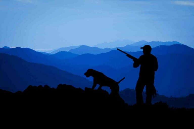 Public Hunting Land: Designations, Permits, Everything You Need To Knowd