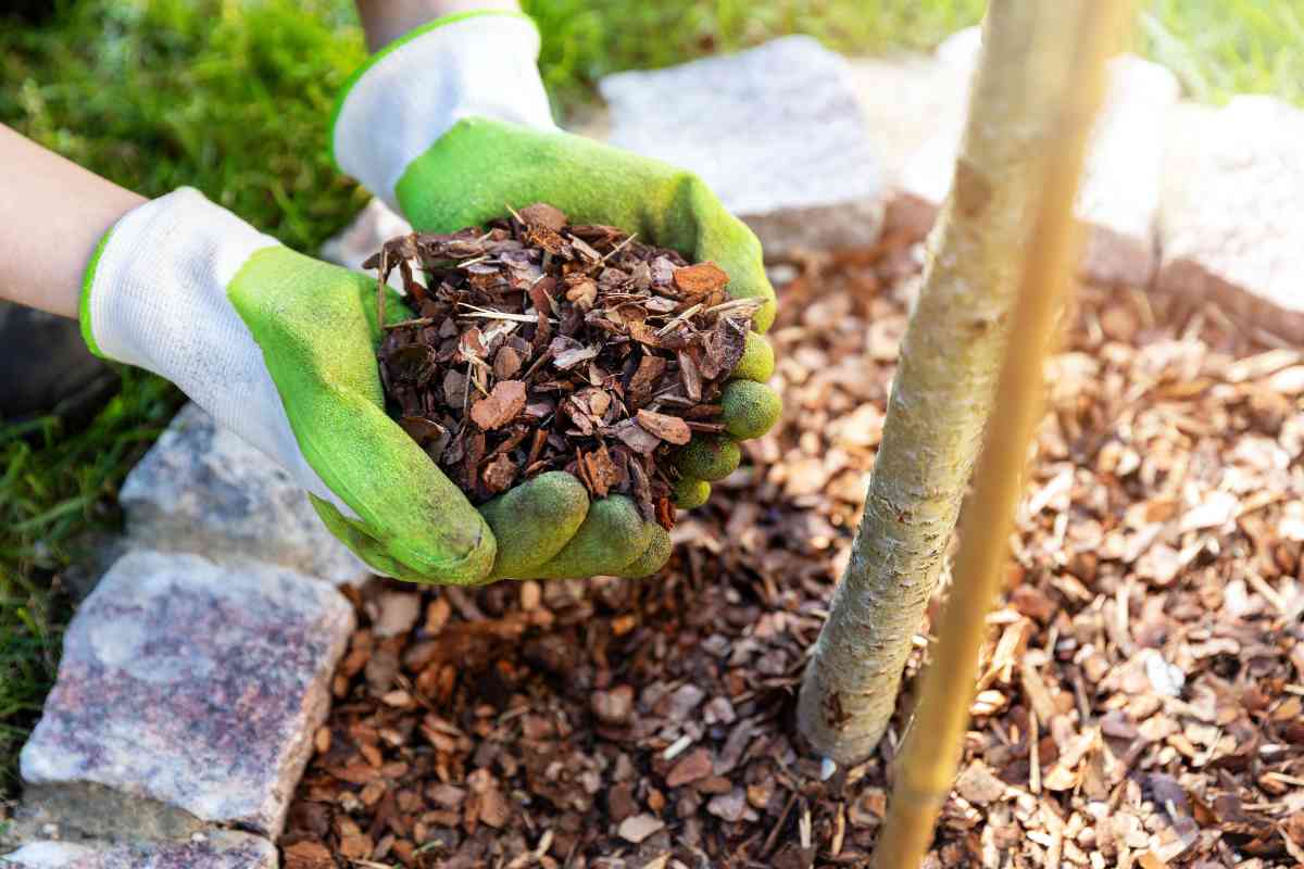 Can You Use Duraflame Logs In A Wood Stove? - Freedom Residence