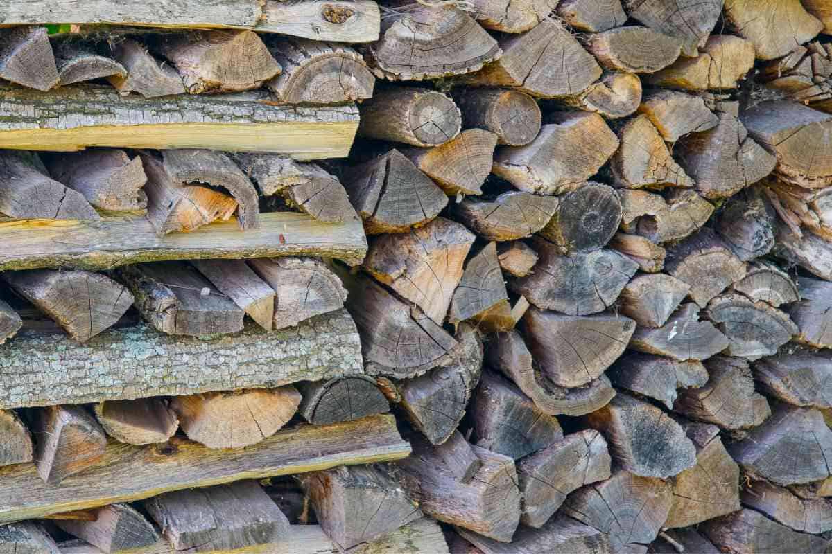 How Long Does It Take To Season Oak Before You Can Burn It? Freedom