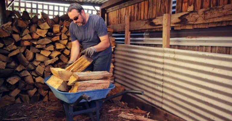 The Ultimate Guide to Firewood: Types, Preparation, and Storage