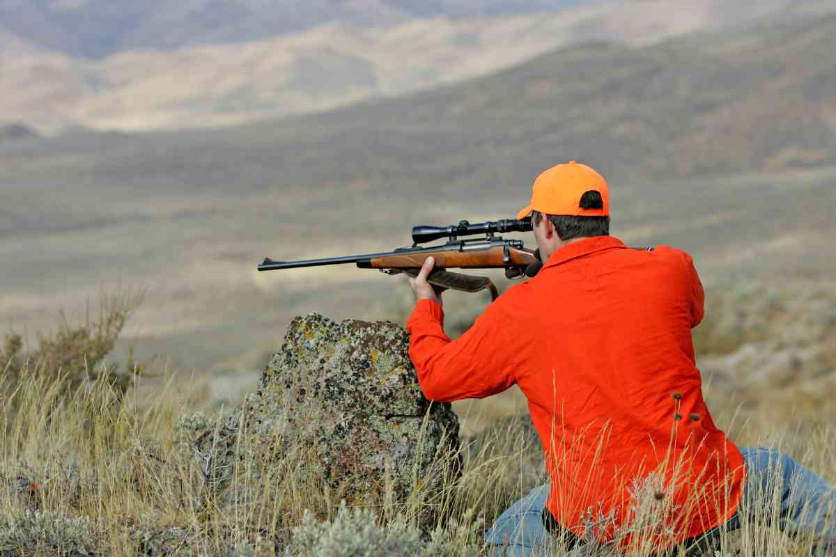 The 8 Best And Worst States For Buying Cheap Hunting Land Freedom