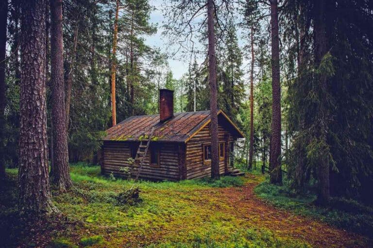 How to Build an Off-Grid Cabin on a Budget: Tips and Tricks