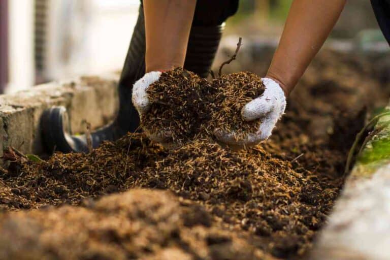How to Make Super Compost: A Step-by-Step Guide