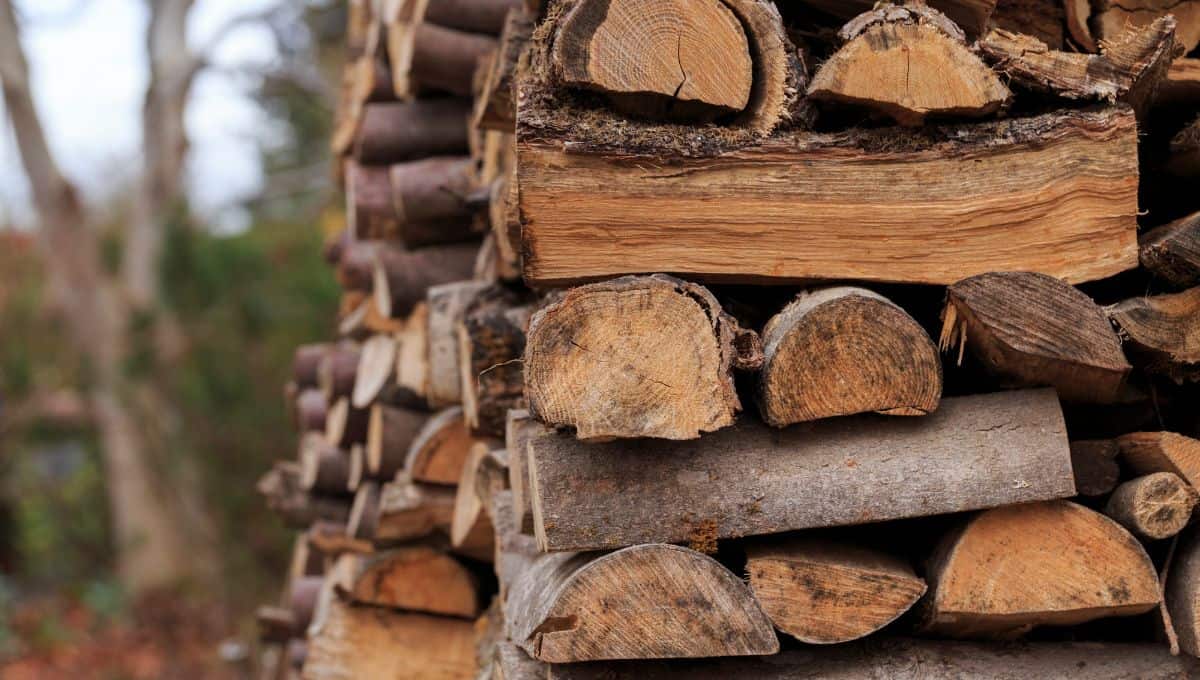 good quality firewood