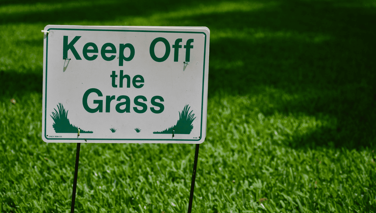 Barriers to Keep Cars Off Grass
