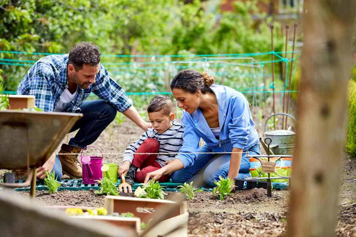 How to Start a 1-Acre Farm: Easy Steps for Success - Freedom Residence